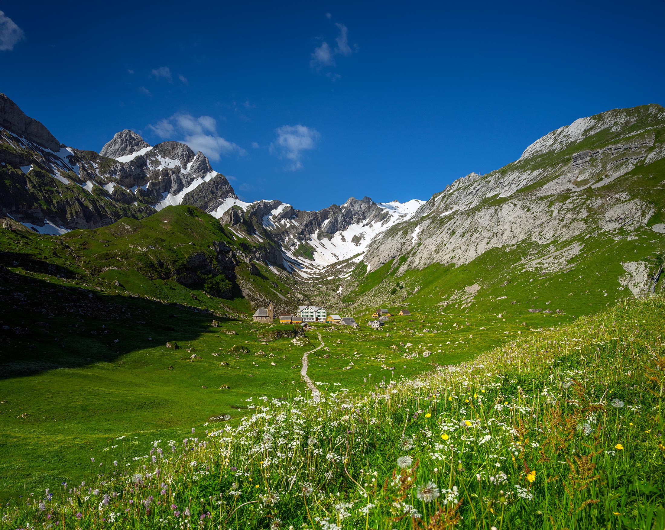 Hauptbild-1 Meglisalp mit blühender Alpwiese im Vordergrund und Bergpanorama im Hintergrund